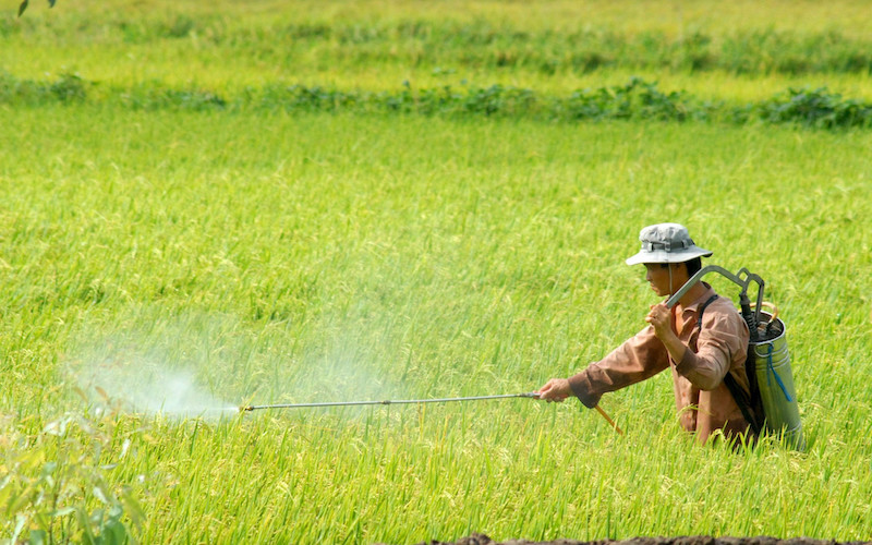 Thực trạng và giải pháp cho nông nghiệp Việt Nam