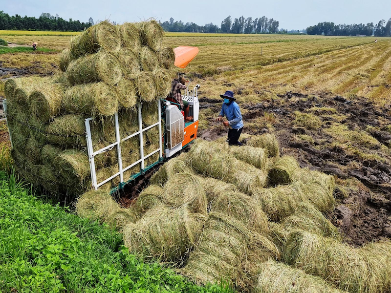 Cần Thơ: Tiền phong trong nông nghiệp bền vững