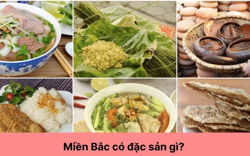 Miền Bắc có đặc sản gì? Top 9 món ăn ngon khó cưỡng không thể bỏ qua