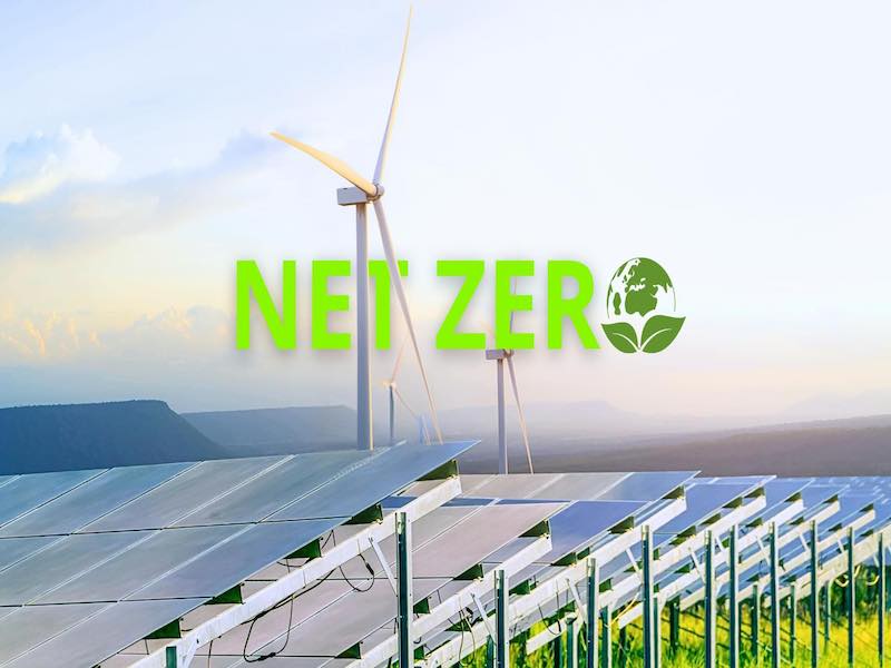 Việt Nam đẩy mạnh vai trò của Net Zero trong lâm nghiệp