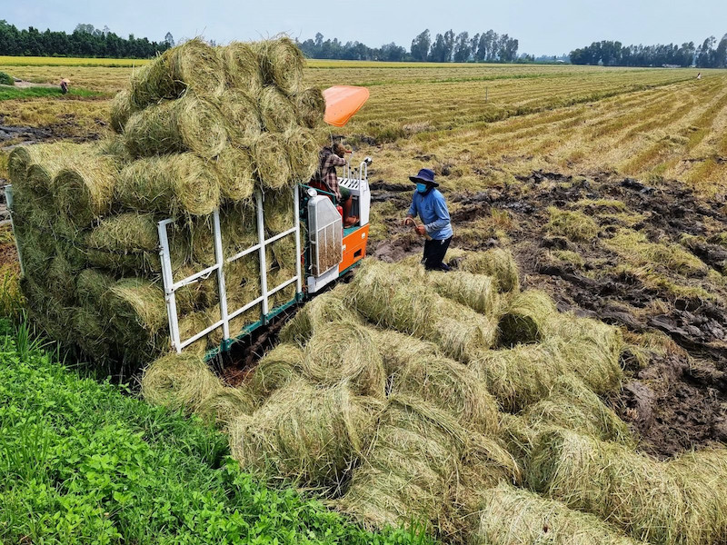 Một số phương pháp phát triển nông nghiệp bền vững