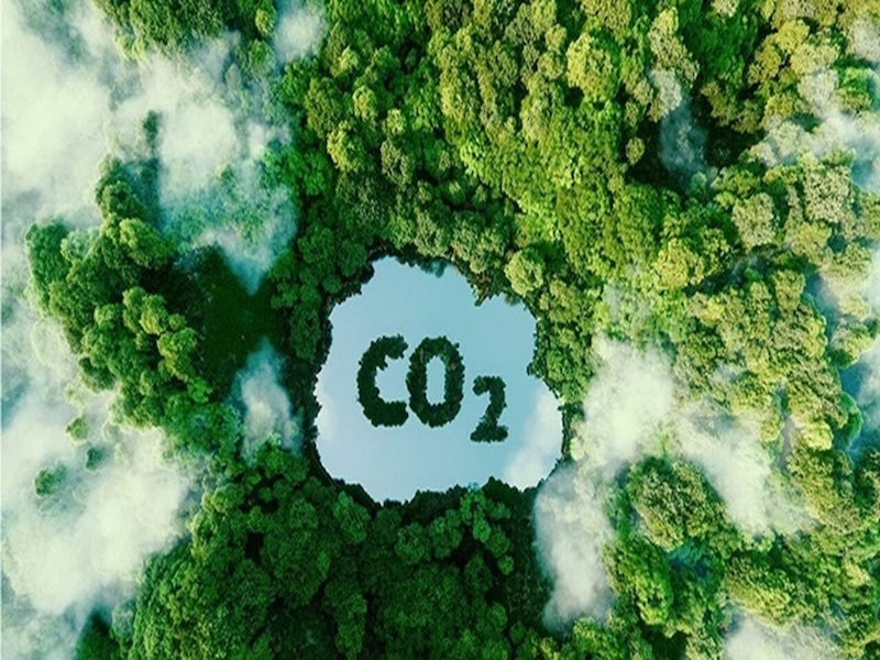 Tín chỉ CO2 là gì?