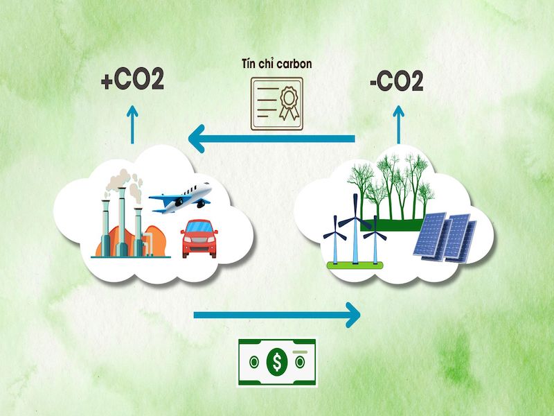 Cách tính tín chỉ carbon