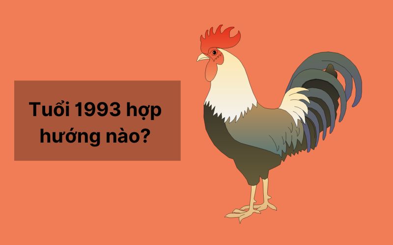 Tuổi 1993 hợp hướng nào? Không hợp hướng nào?