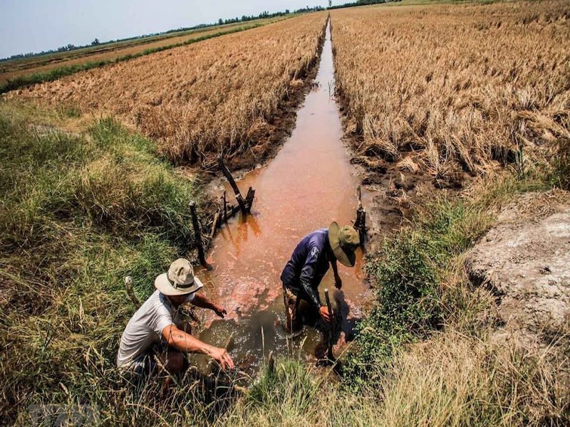 Vấn đề cấp bách mà nông nghiệp ĐBSCL đang gặp phải